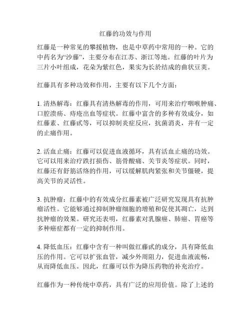 红藤的功效与作用