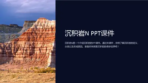《沉积岩N》课件
