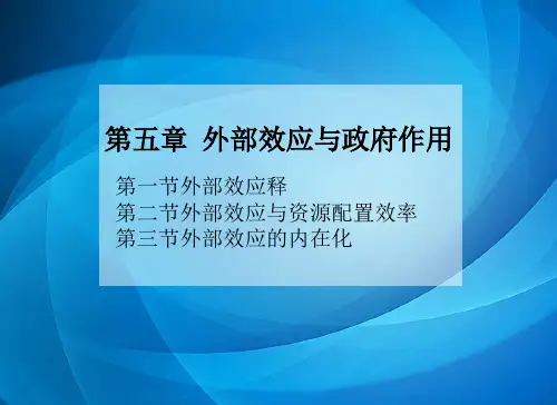 经济学PPT  05第五章 外部效应与政府作用