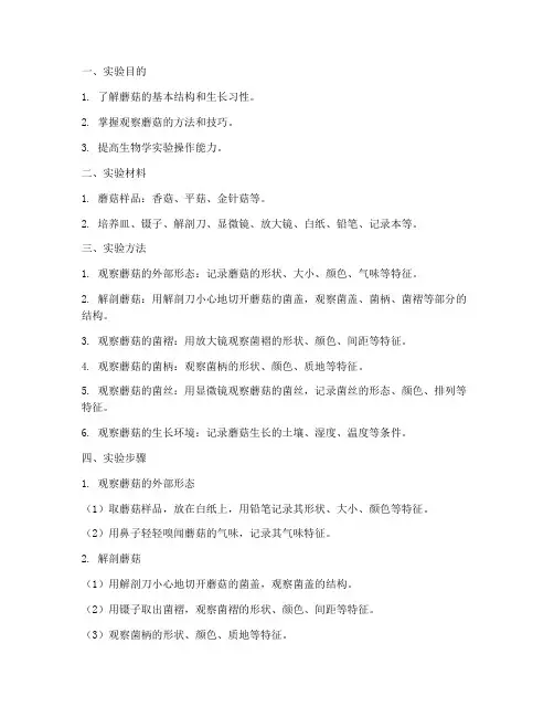 观察蘑菇的实验报告