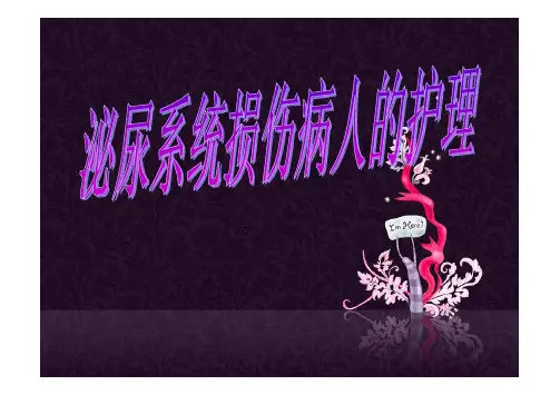 外科护理学 - 泌尿系统损伤病人护理