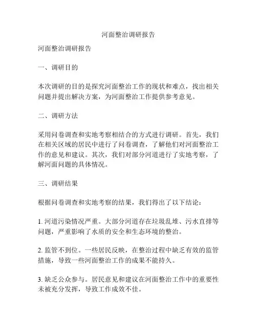 河面整治调研报告