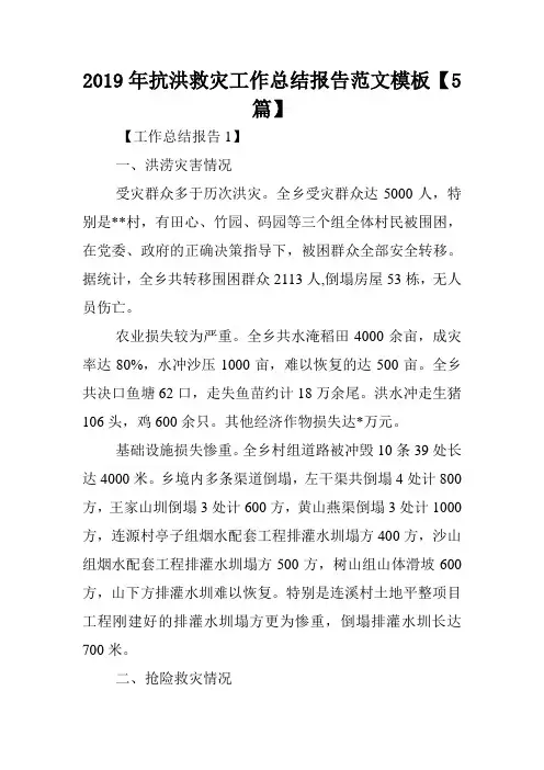 2019年抗洪救灾工作总结报告范文模板【5篇】.doc