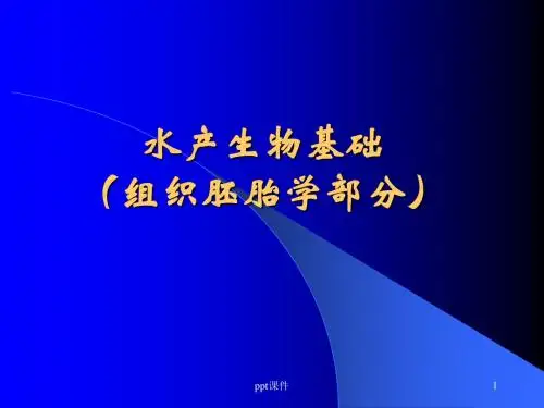 水产生物基础水产生物基础(组织胚胎学部分)  ppt课件