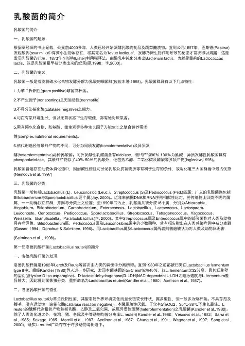 乳酸菌的简介