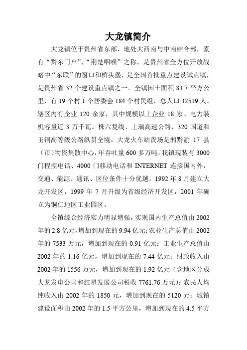 大龙经济开发区大龙镇简介
