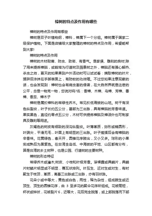 樟树的特点及作用有哪些
