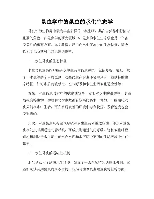 昆虫学中的昆虫的水生生态学