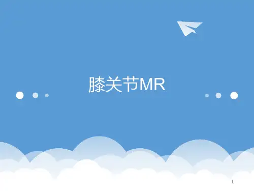 膝关节MRPPT课件