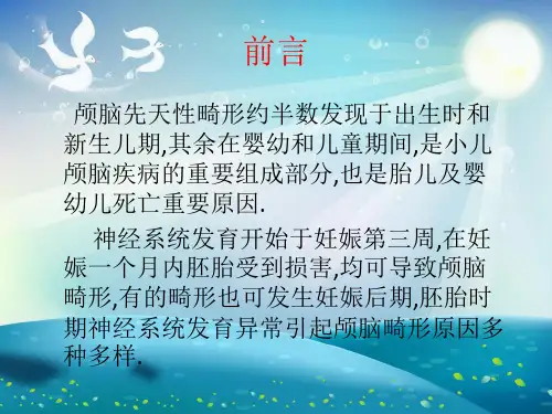 颅脑先天性畸形影象学征象及诊断课件