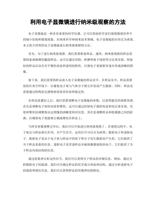利用电子显微镜进行纳米级观察的方法