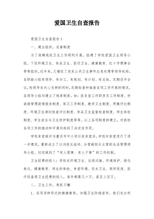 爱国卫生自查报告