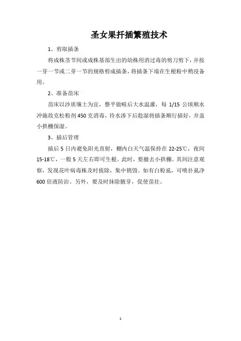 圣女果扦插繁殖技术