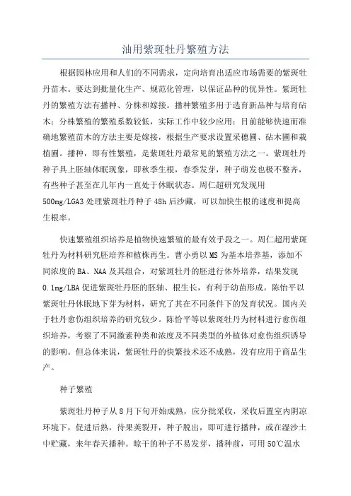 油用紫斑牡丹繁殖方法