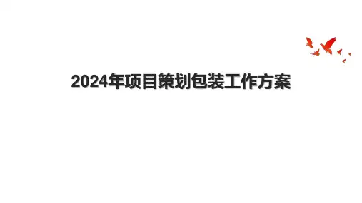 2024年项目策划包装工作方案.pptx