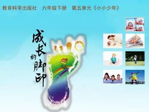 教科版六年级品格与社会下册小小少年 课件