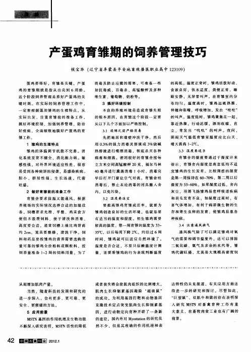 产蛋鸡育雏期的饲养管理技巧