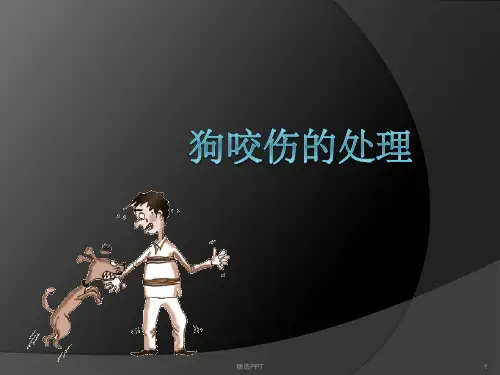 《狗咬伤的处理》PPT课件