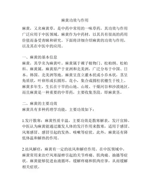 麻黄功效与作用