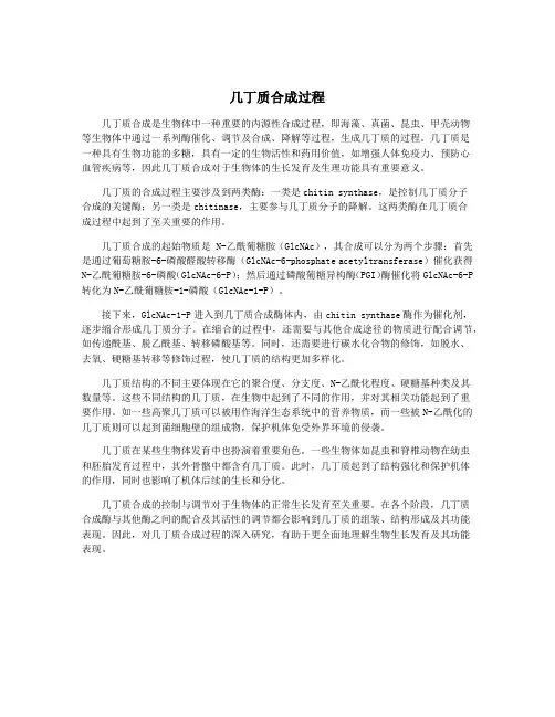几丁质合成过程