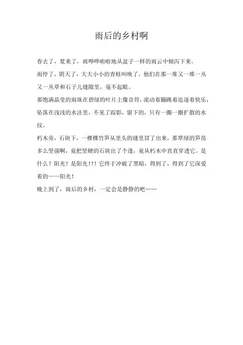二年级写景雨后的乡村啊