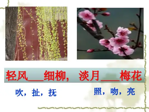 诗歌鉴赏---炼字课件