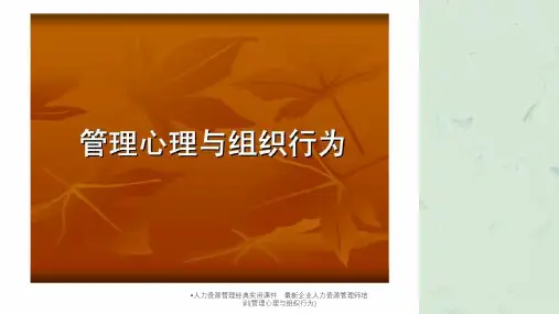 人力资源管理企业人力资源管理师培训管理心理与组织行为
