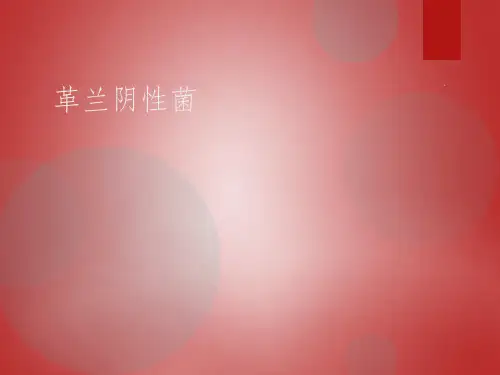 革兰氏阴性菌ppt课件