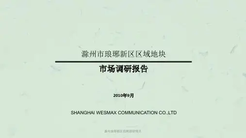 滁州琅琊新区前期调研情况课件