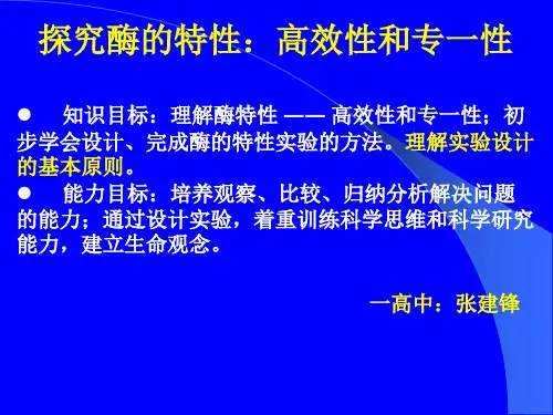 探究酶的特性 高效性和专一性