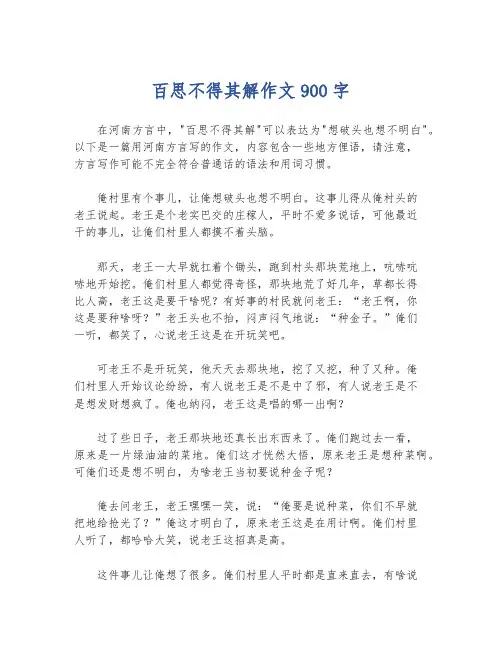百思不得其解作文900字