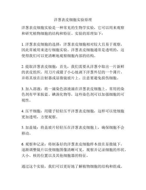 洋葱表皮细胞实验原理