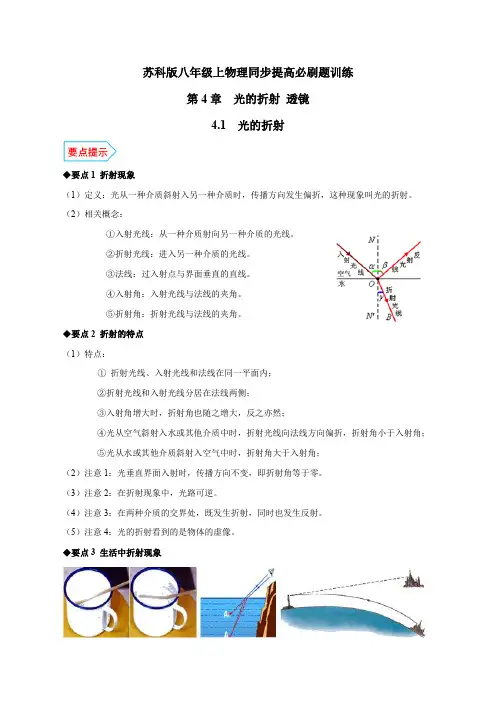 专题4.1光的折射(原卷版+解析)