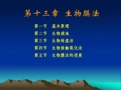 水污染控制工程课件第十三章(一)