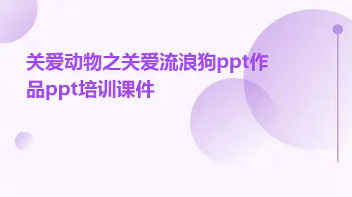 关爱动物之关爱流浪狗ppt作品ppt培训课件