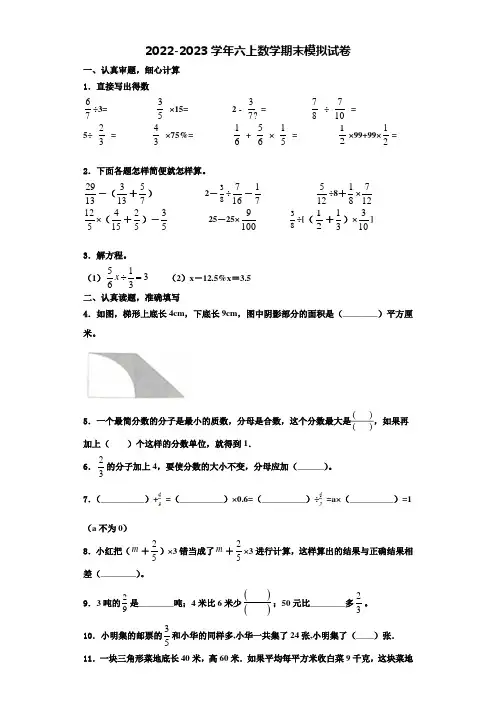 2022-2023学年杭锦后旗六年级数学第一学期期末学业水平测试模拟试题含解析