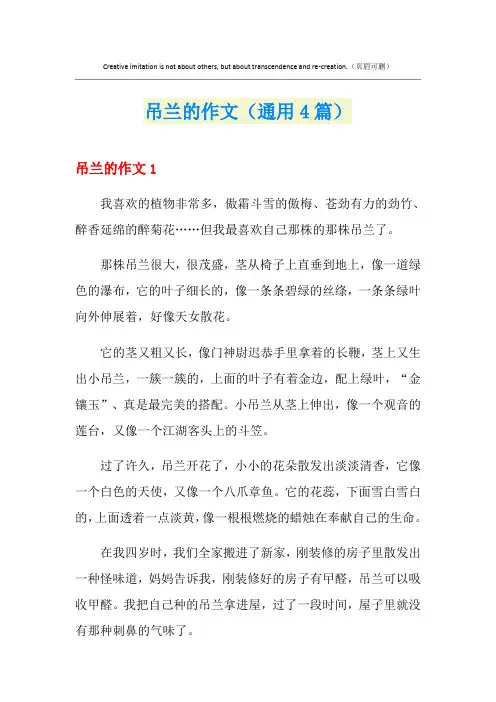吊兰的作文(通用4篇)