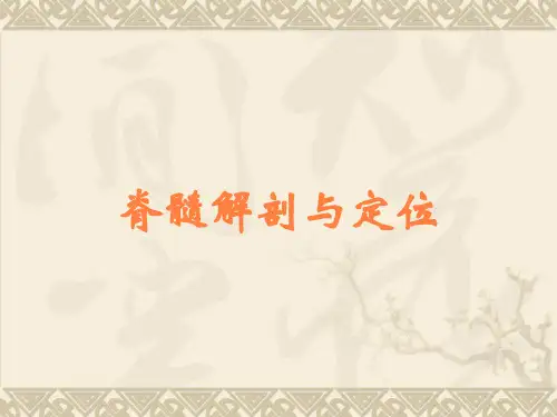脊髓解剖与定位