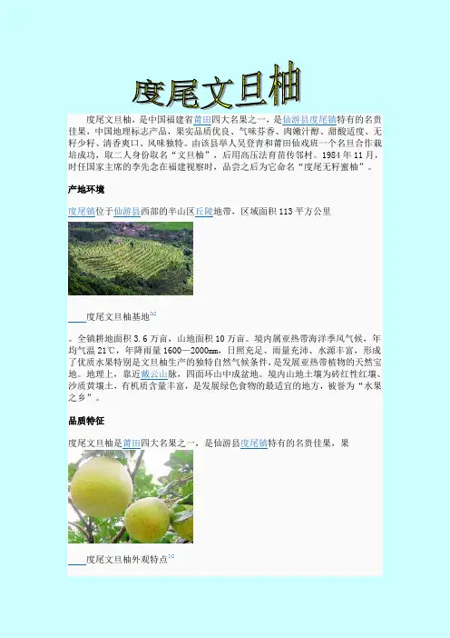 度尾文旦柚 介绍