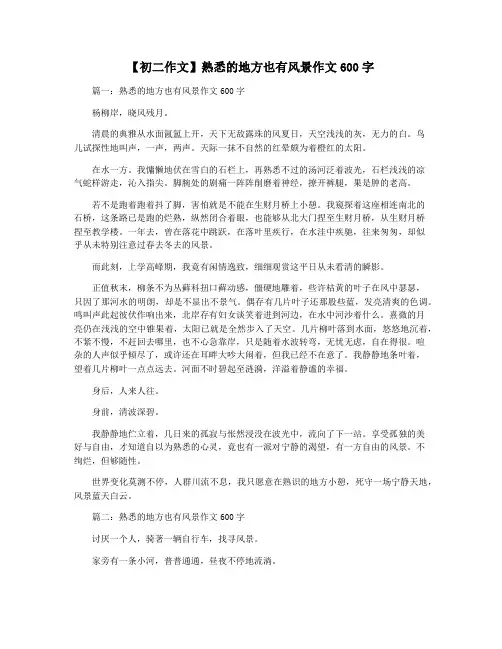 【初二作文】熟悉的地方也有风景作文600字