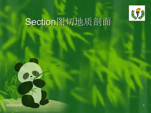 用Section切地质剖面