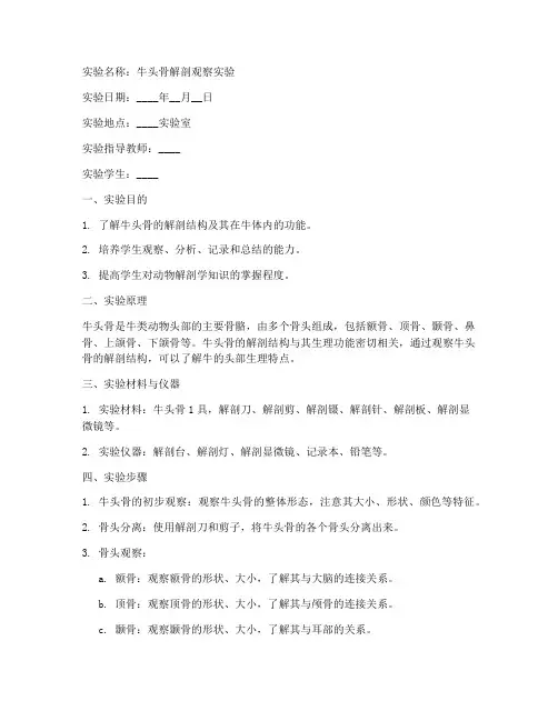 牛头骨实验报告册