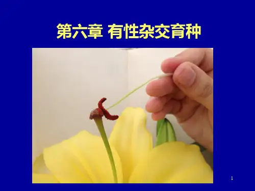 第六章-杂交育种PPT课件
