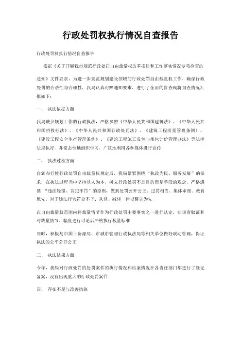 行政处罚权执行情况自查报告