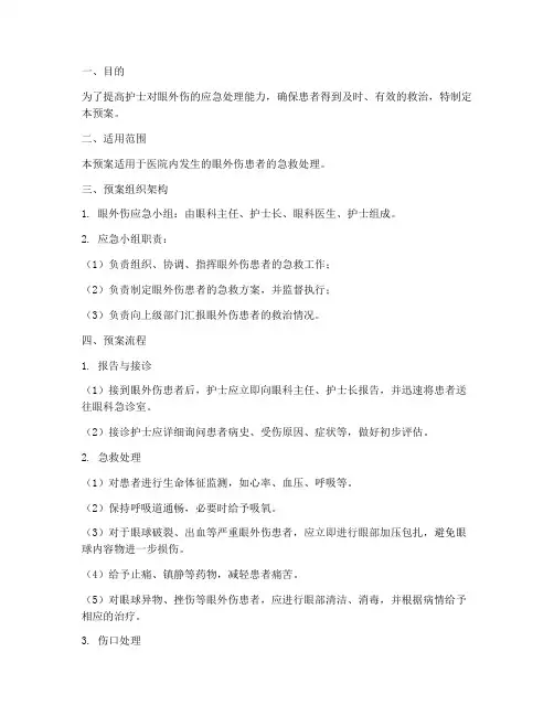 眼外伤应急护士预案