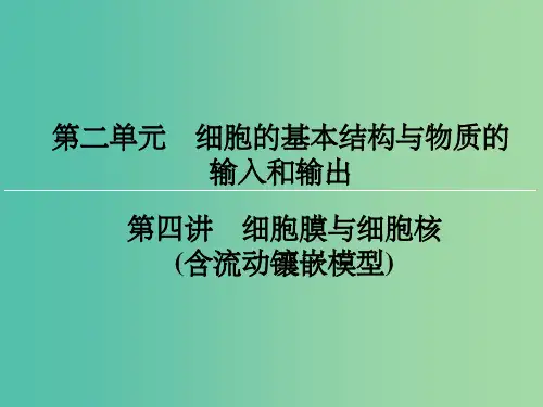 高考生物一轮复习 第2单元 第4讲 细胞膜与细胞核(含流动镶嵌模型) (2)