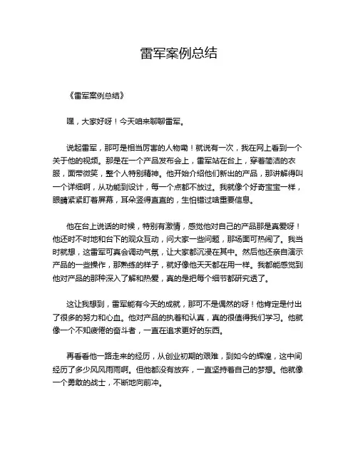 雷军案例总结