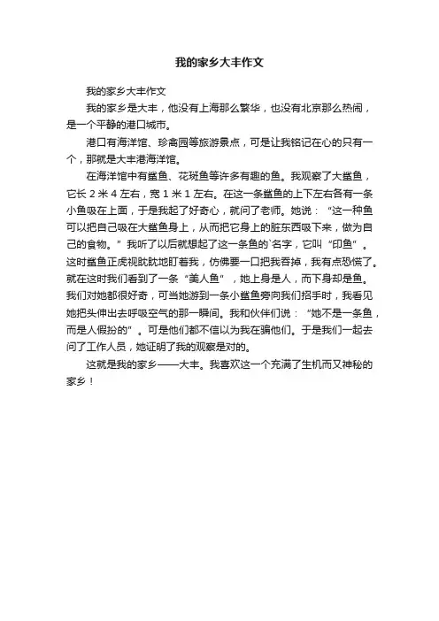 我的家乡大丰作文