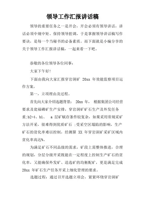 领导工作汇报讲话稿