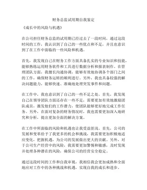 财务总监试用期自我鉴定